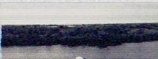Coub banner for @extravaganza