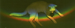 Coub banner for @melancholy