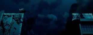 Coub banner for @chuckles