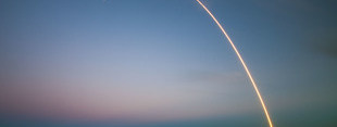 Coub banner for @elonmusk