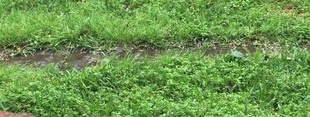 Coub banner for @positively