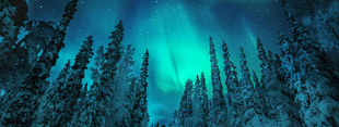 Coub banner for @scandinavia