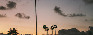 Coub banner for @daydream