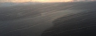Coub banner for @diagonal