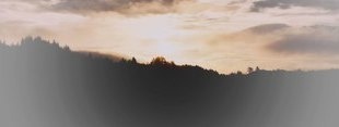 Coub banner for @sentiment