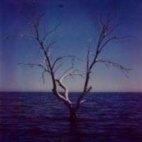 Александра Павлова