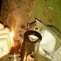 Goochlowkey