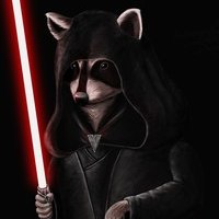 Raccoon ebashit