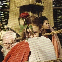 Sansa;