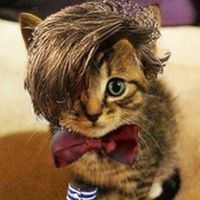 dr_andy