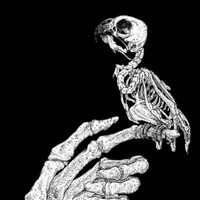 exypirativogen