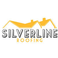 Silverline Roofing