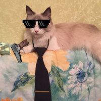 MasterRachnoySborki