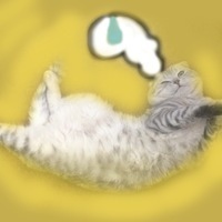 Вася Зимелев