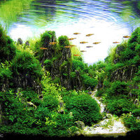 aquascape