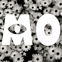 Mr Mo