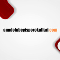 Ankara Voleybol Okulu