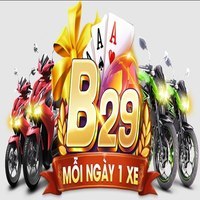b29tips