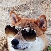 Дима Ларин