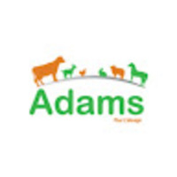 adams18
