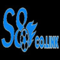S8