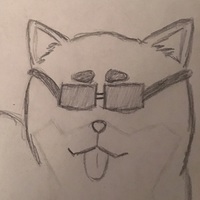 YourAverageBoringTeen