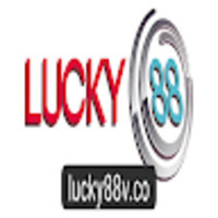 Lucky88 v co