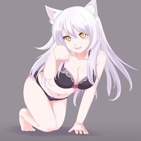 Meddlecat 