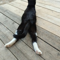  Кубики Элан 