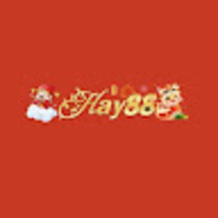HAY88