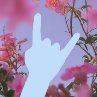 Coub Music