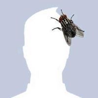 Лаша Имерлишвили