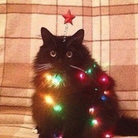 Михаил Пашкеев