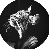 Денис Степанов