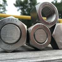SS Bolts