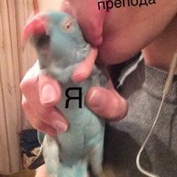 Рина Хайбулина