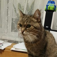 Goopik