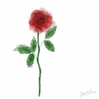 Amori