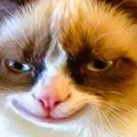 NotGrumpyCat