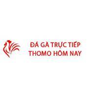 Đá Gà Trực Tiếp Thomo Hôm Nay