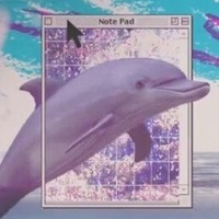 AestheticDolphin