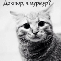 Александр Орлов