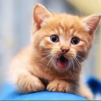 Best gifs