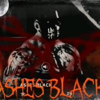 Ashes in the Shell. 