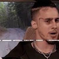 kyslanie