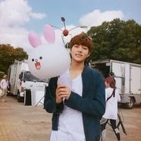 softaeho