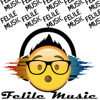 FelileStudio