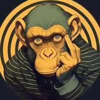 oldmonkey2013