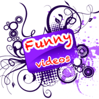 Funny videos