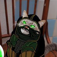 Томатный Кот